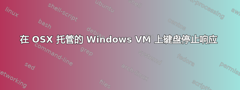 在 OSX 托管的 Windows VM 上键盘停止响应