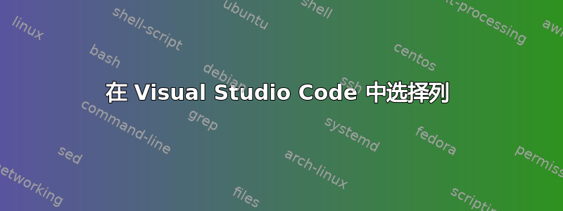 在 Visual Studio Code 中选择列