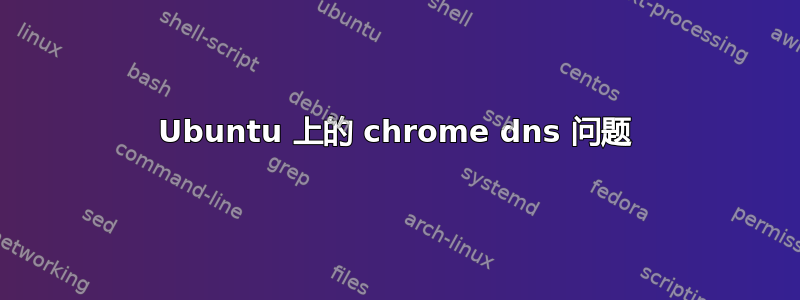 Ubuntu 上的 chrome dns 问题