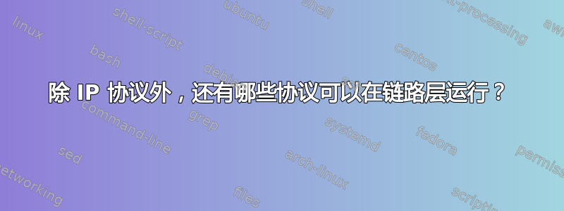 除 IP 协议外，还有哪些协议可以在链路层运行？