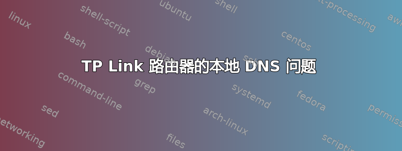 TP Link 路由器的本地 DNS 问题