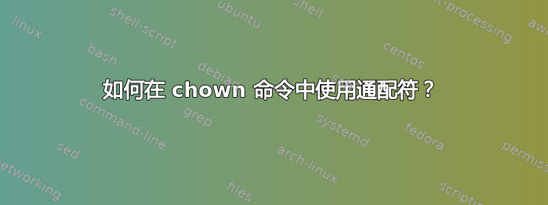 如何在 chown 命令中使用通配符？