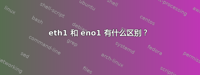 eth1 和 eno1 有什么区别？