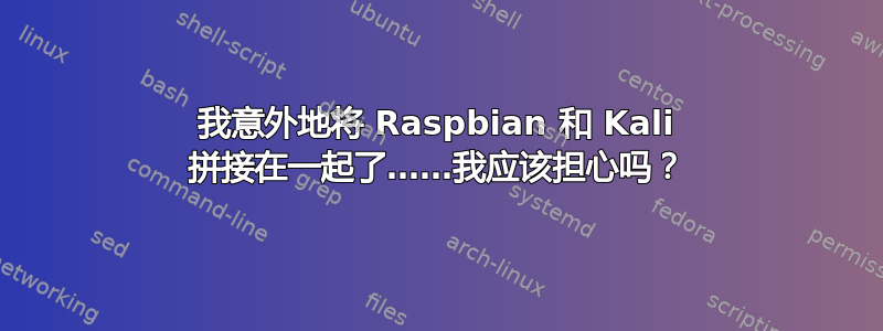 我意外地将 Raspbian 和 Kali 拼接在一起了……我应该担心吗？