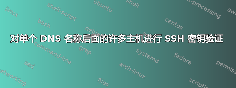 对单个 DNS 名称后面的许多主机进行 SSH 密钥验证