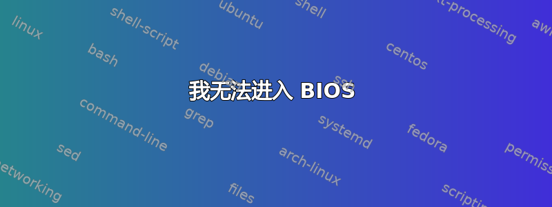 我无法进入 BIOS