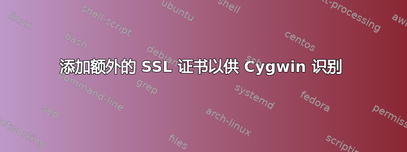 添加额外的 SSL 证书以供 Cygwin 识别