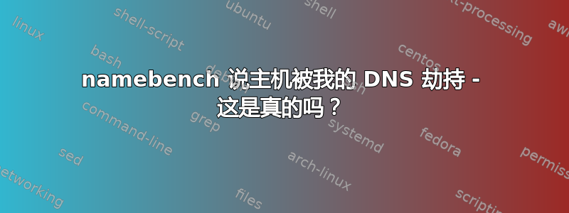 namebench 说主机被我的 DNS 劫持 - 这是真的吗？