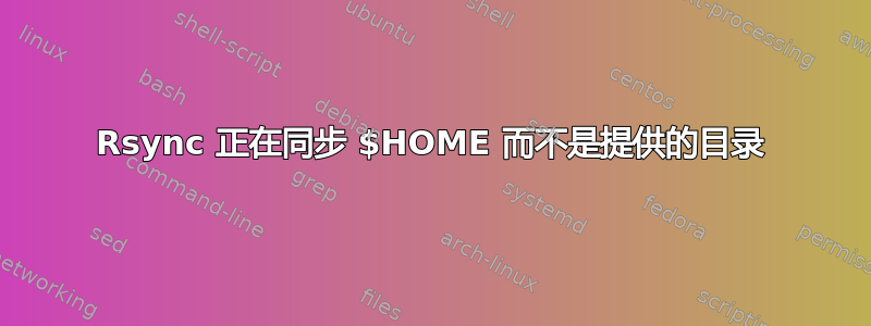 Rsync 正在同步 $HOME 而不是提供的目录