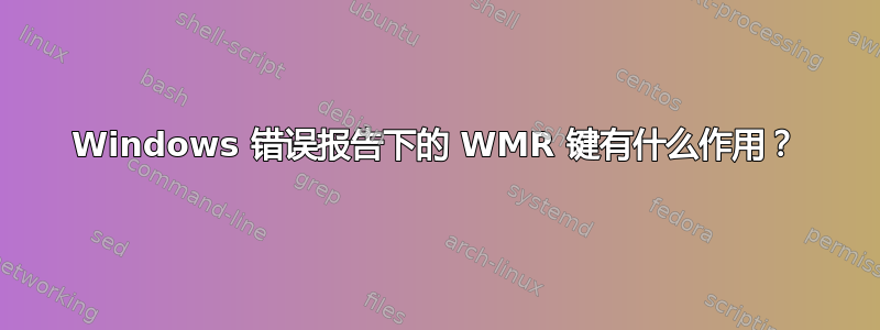 Windows 错误报告下的 WMR 键有什么作用？