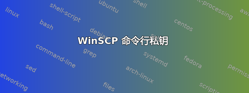 WinSCP 命令行私钥