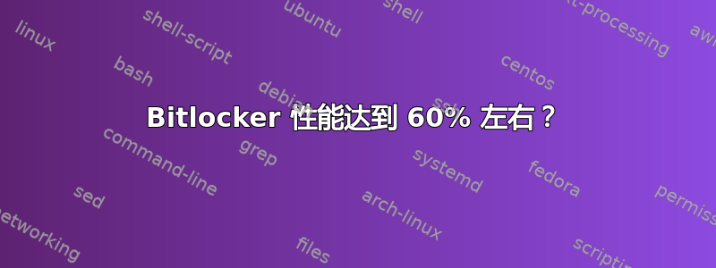 Bitlocker 性能达到 60% 左右？