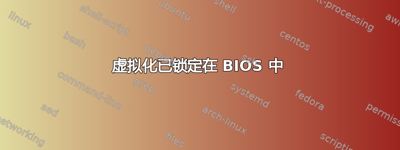 虚拟化已锁定在 BIOS 中