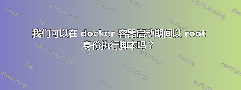 我们可以在 docker 容器启动期间以 root 身份执行脚本吗？