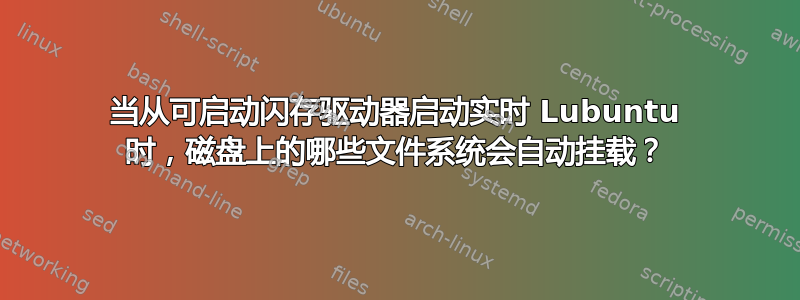 当从可启动闪存驱动器启动实时 Lubuntu 时，磁盘上的哪些文件系统会自动挂载？