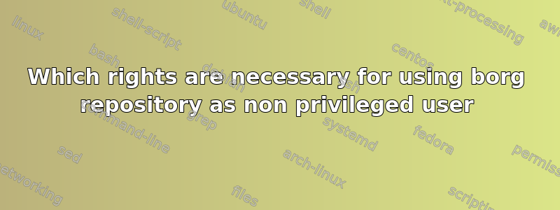 Which rights are necessary for using borg repository as non privileged user