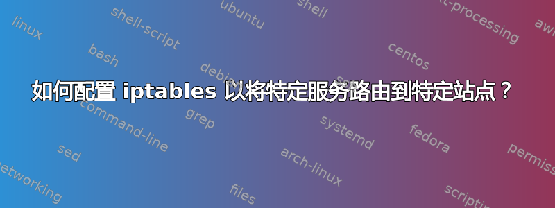 如何配置 iptables 以将特定服务路由到特定站点？