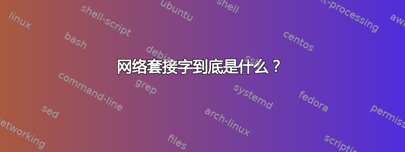 网络套接字到底是什么？