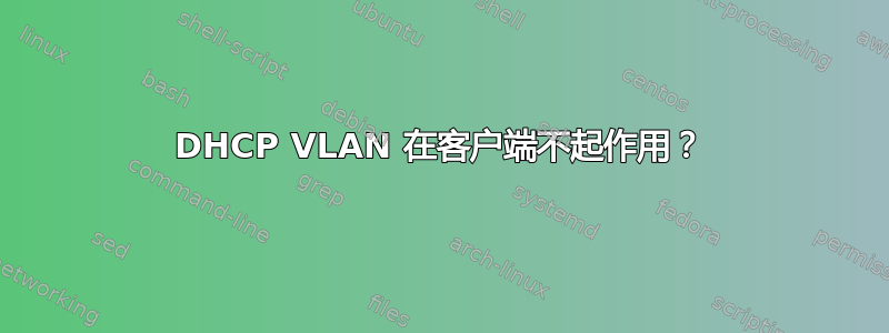 DHCP VLAN 在客户端不起作用？