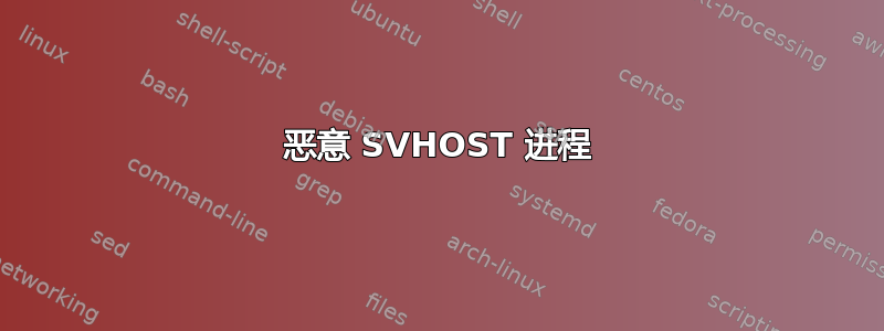 恶意 SVHOST 进程