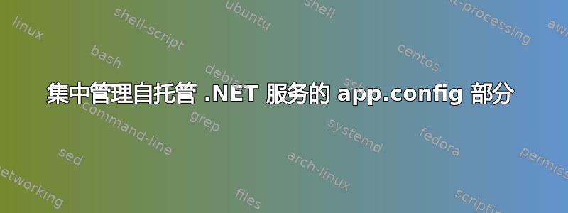 集中管理自托管 .NET 服务的 app.config 部分