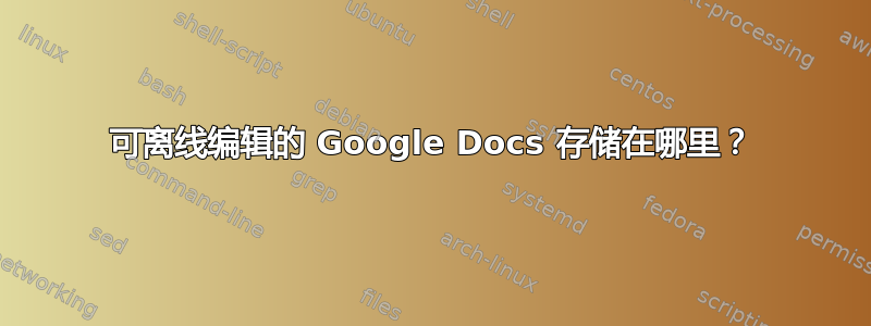 可离线编辑的 Google Docs 存储在哪里？