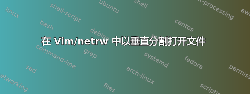 在 Vim/netrw 中以垂直分割打开文件