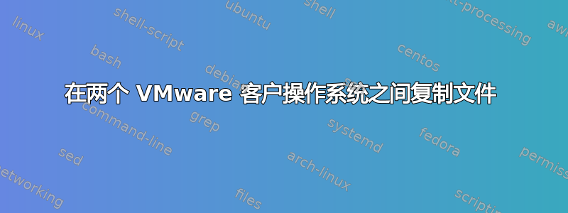 在两个 VMware 客户操作系统之间复制文件