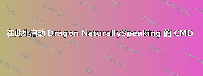 在此处启动 Dragon NaturallySpeaking 的 CMD