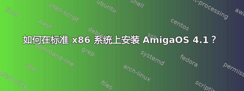 如何在标准 x86 系统上安装 AmigaOS 4.1？