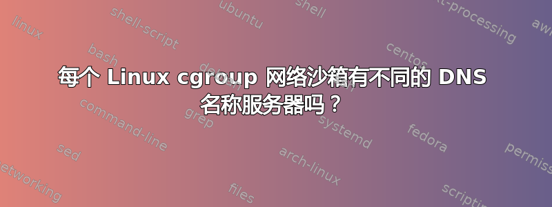 每个 Linux cgroup 网络沙箱有不同的 DNS 名称服务器吗？