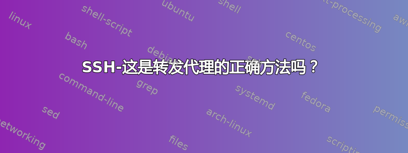 SSH-这是转发代理的正确方法吗？