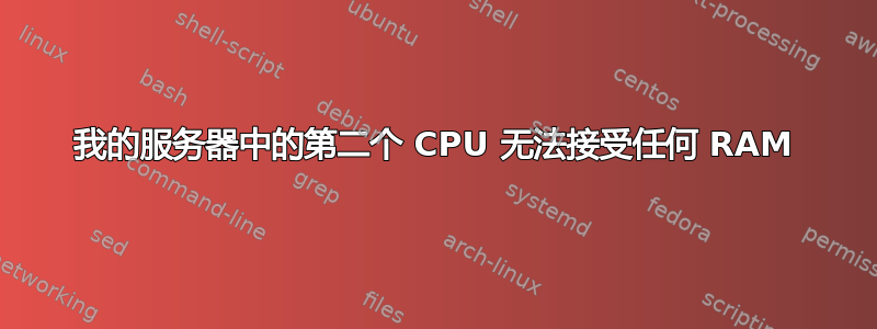 我的服务器中的第二个 CPU 无法接受任何 RAM