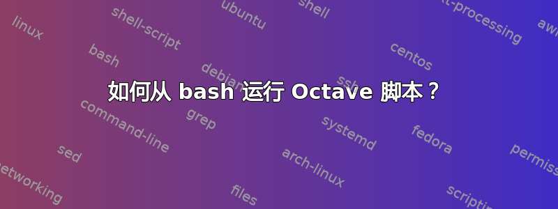 如何从 bash 运行 Octave 脚本？