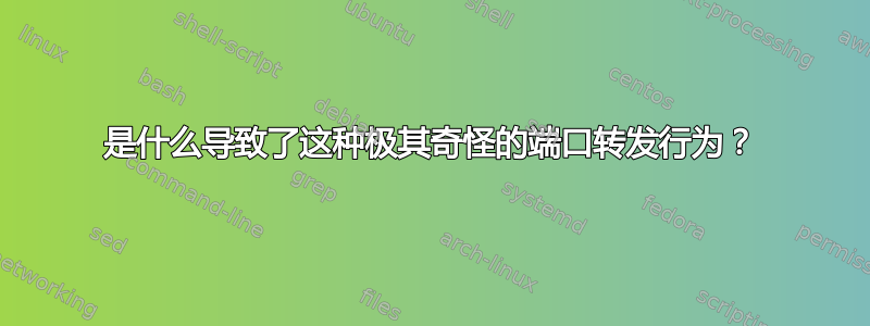 是什么导致了这种极其奇怪的端口转发行为？