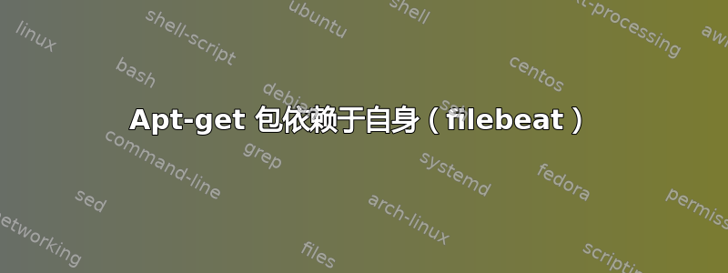 Apt-get 包依赖于自身（filebeat）