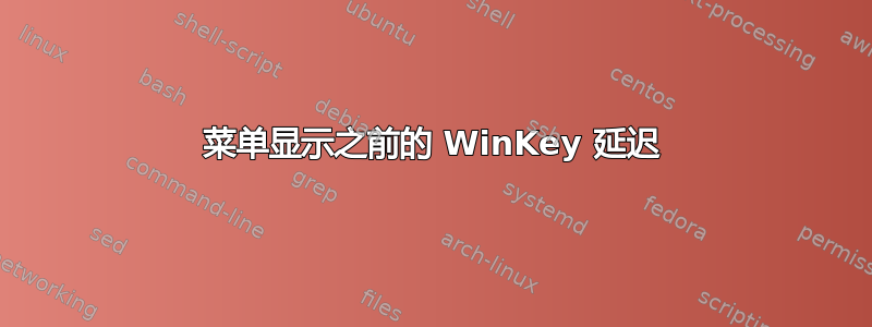 菜单显示之前的 WinKey 延迟