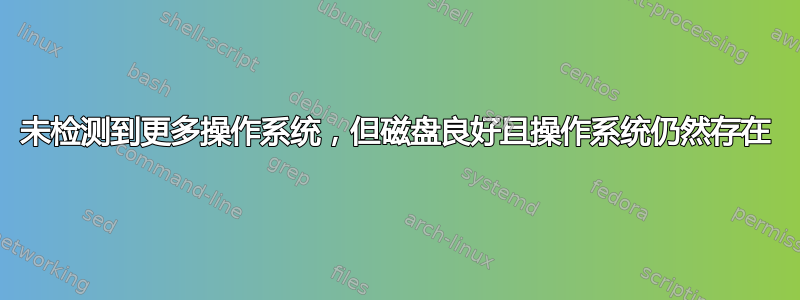 未检测到更多操作系统，但磁盘良好且操作系统仍然存在