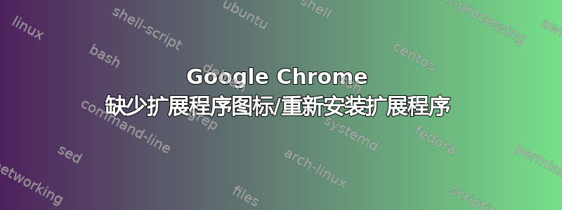 Google Chrome 缺少扩展程序图标/重新安装扩展程序