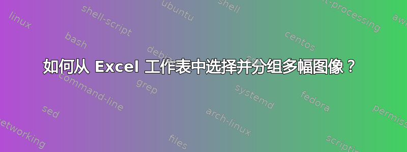 如何从 Excel 工作表中选择并分组多幅图像？