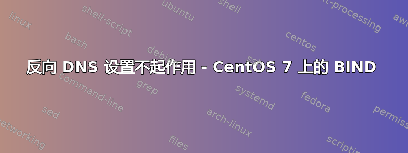 反向 DNS 设置不起作用 - CentOS 7 上的 BIND