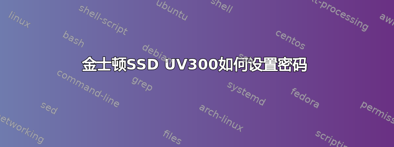 金士顿SSD UV300如何设置密码