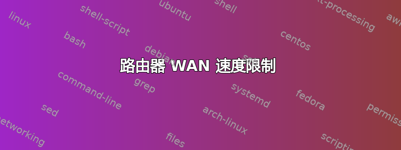 路由器 WAN 速度限制