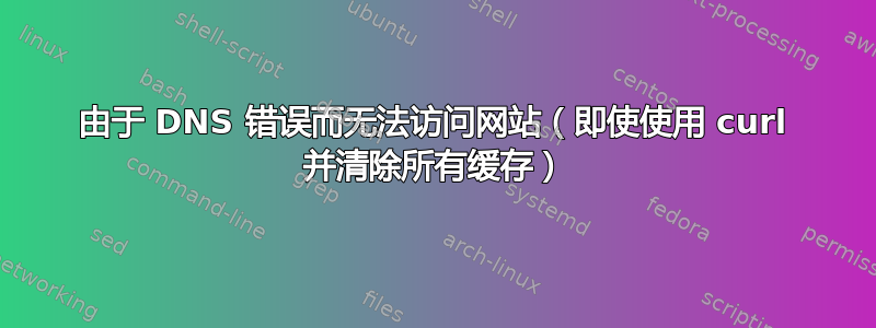 由于 DNS 错误而无法访问网站（即使使用 curl 并清除所有缓存）