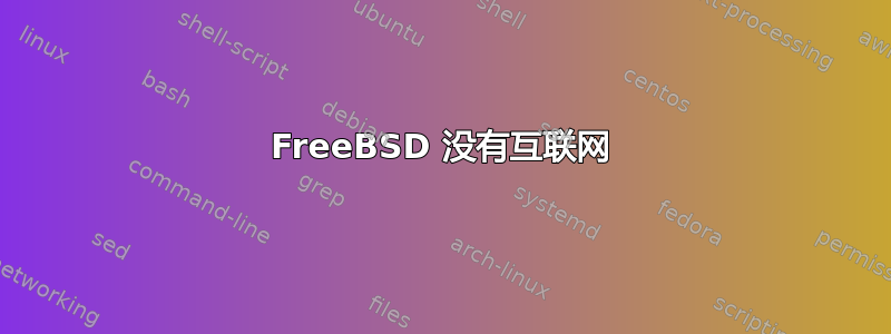 FreeBSD 没有互联网