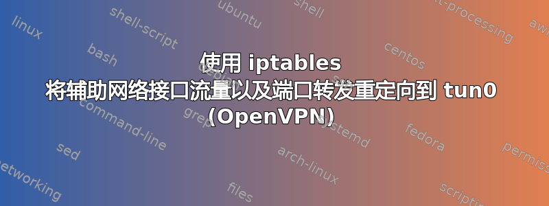 使用 iptables 将辅助网络接口流量以及端口转发重定向到 tun0 (OpenVPN)