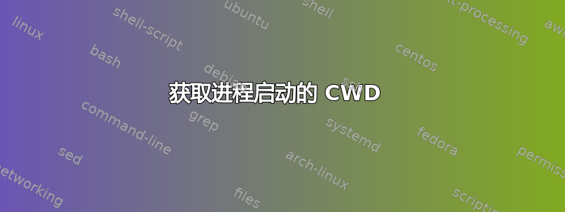 获取进程启动的 CWD 