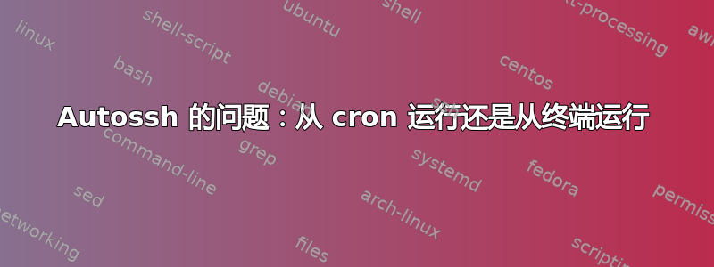 Autossh 的问题：从 cron 运行还是从终端运行