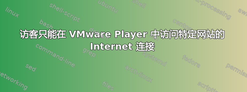 访客只能在 VMware Player 中访问特定网站的 Internet 连接