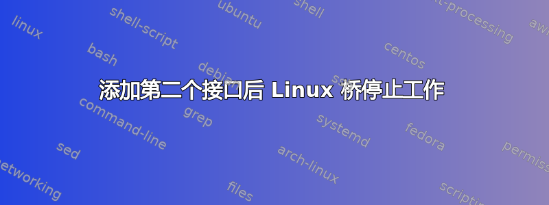 添加第二个接口后 Linux 桥停止工作